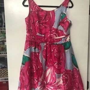 BNWT Vineyard Vines Derby Dress 12